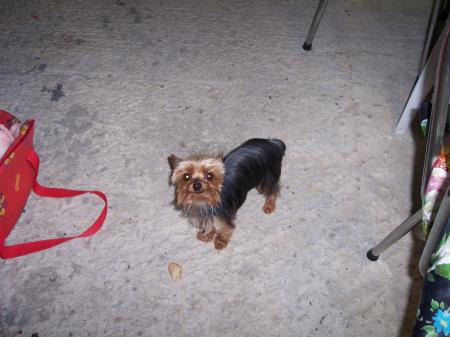 mon bibi!